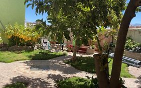 Las Palmeras Eco Hostel